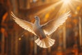 White dove flies over the church Royalty Free Stock Photo