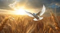 A white dove flies over a field of wheat against a blue sky. Dove of peace. Generative AI. Royalty Free Stock Photo