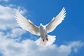 A white dove in flight against a blue sky with fluffy clouds. Generative AI Royalty Free Stock Photo