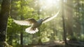 White Dove Flight In Forest: Captivating High-speed Image In Light Purple And Light Brown Royalty Free Stock Photo