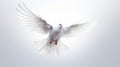 White Dove In Flight: A Stunning Artistic Capture