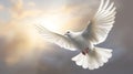 White dove flying against cloudy sky