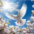 White dove flying around flowers on blue background, World peace concept Royalty Free Stock Photo