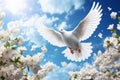 White dove flying around flowers on blue background, World peace concept Royalty Free Stock Photo