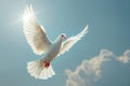 White dove flying in the blue sky. Freedom and peace concept Royalty Free Stock Photo