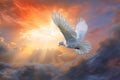 a white dove flying through a cloudy sky with the sun shining through the clouds behind it and the sun shining through the clouds