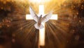 White dove flying in front of glowing cross on dark golden background with light particles Royalty Free Stock Photo