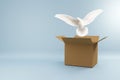White dove flying out of cardboard Royalty Free Stock Photo