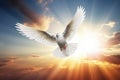 a white dove flying over the sun in a cloudy sky, in the religious style. Generative AI Royalty Free Stock Photo