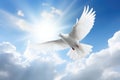 a white dove flying over the sun in a cloudy sky, in the religious style. Generative AI Royalty Free Stock Photo