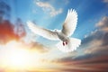 a white dove flying over the sun in a cloudy sky, in the religious style. Generative AI Royalty Free Stock Photo