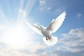 a white dove flying over the sun in a cloudy sky, in the religious style. Generative AI Royalty Free Stock Photo