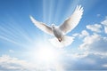 a white dove flying over the sun in a cloudy sky, in the religious style. Generative AI Royalty Free Stock Photo