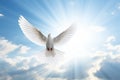 a white dove flying over the sun in a cloudy sky, in the religious style. Generative AI Royalty Free Stock Photo