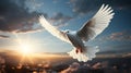 A white dove flying in the sky. Generative AI. Royalty Free Stock Photo