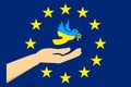 A white dove in hands on a background of europian union flag with yellow stars. A symbol of peace for Ukraine Royalty Free Stock Photo