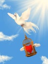 A white dove helping loving heart