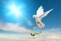 White dove holding green branch in peace sign Royalty Free Stock Photo