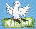 White Dove Holding Olive Branch and Ribbon for Peace Day, Vector Illustration