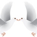 White dove isolated vector