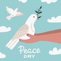 White Dove with Olive Branch sittting in human Hands. Peace Symbol. Pigeon Isolated Logo. White Flying Bird Emblem. Flat Royalty Free Stock Photo