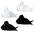 White dove  ornamental pigeon cute small birds outline and silhouette  on a white background  vintage vector illustration editable Royalty Free Stock Photo