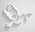 White Dove. Paper stylized Peace Dove with olive branch. Vector illustration.