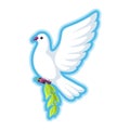 White dove of peace bears olive branch Royalty Free Stock Photo