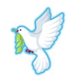 White dove of peace bears olive branch Royalty Free Stock Photo