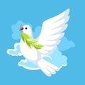 White dove of peace bears olive branch Royalty Free Stock Photo