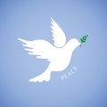 White dove for peace on blue background