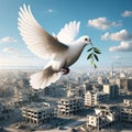 White Dove of Peace Over War-Torn Cityscape