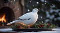 Serene White Dove on Snowy Christmas Wreath, Near Fireplace Royalty Free Stock Photo