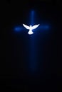 White Dove silhouette over a cross on dark background Royalty Free Stock Photo