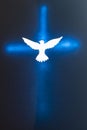 White Dove silhouette over a shining cross Royalty Free Stock Photo