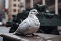 White dove sitting in rubble of war city. with tanks in blurry background. Generative AI