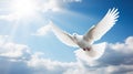 A white dove a sky with clouds background. Symbol of love and peace descends from sky Royalty Free Stock Photo