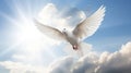 A white dove a sky with clouds background. Symbol of love and peace descends from sky Royalty Free Stock Photo