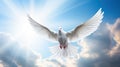 A white dove a sky with clouds background. Symbol of love and peace descends from sky Royalty Free Stock Photo