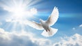 A white dove a sky with clouds background. Symbol of love and peace descends from sky Royalty Free Stock Photo