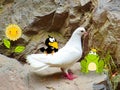 White dove on a stone with cartoon bird, frog prince and smiling sunflower