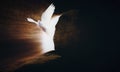 Easter white dove and tomb symbolizing the resurrection of Jesus Christ