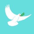 White Dove Vector Icon with Olive Branch. Peace Symbol. Pigeon Isolated Logo. White Flying Bird Emblem. Flat Dove Sign Royalty Free Stock Photo