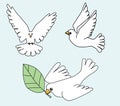 White Dove, White pigeons birds illustration Royalty Free Stock Photo