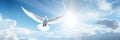 White dove with wings wide open in the blue sky air with clouds and sunbeams. Generative AI