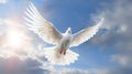 A white dove with wings wide open in the blue sky air with clouds and sunbeams. Spirit of god background banner panorama. Royalty Free Stock Photo