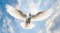 A white dove with wings wide open in the blue sky air with clouds and sunbeams. Spirit of god background banner panorama. Royalty Free Stock Photo