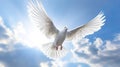 A white dove with wings wide open in the blue sky air with clouds and sunbeams. Spirit of god background banner panorama. Royalty Free Stock Photo