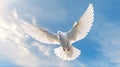 A white dove with wings wide open in the blue sky air with clouds and sunbeams. Spirit of god background banner panorama. Royalty Free Stock Photo
