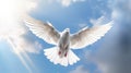 A white dove with wings wide open in the blue sky air with clouds and sunbeams. Spirit of god background banner panorama. Royalty Free Stock Photo